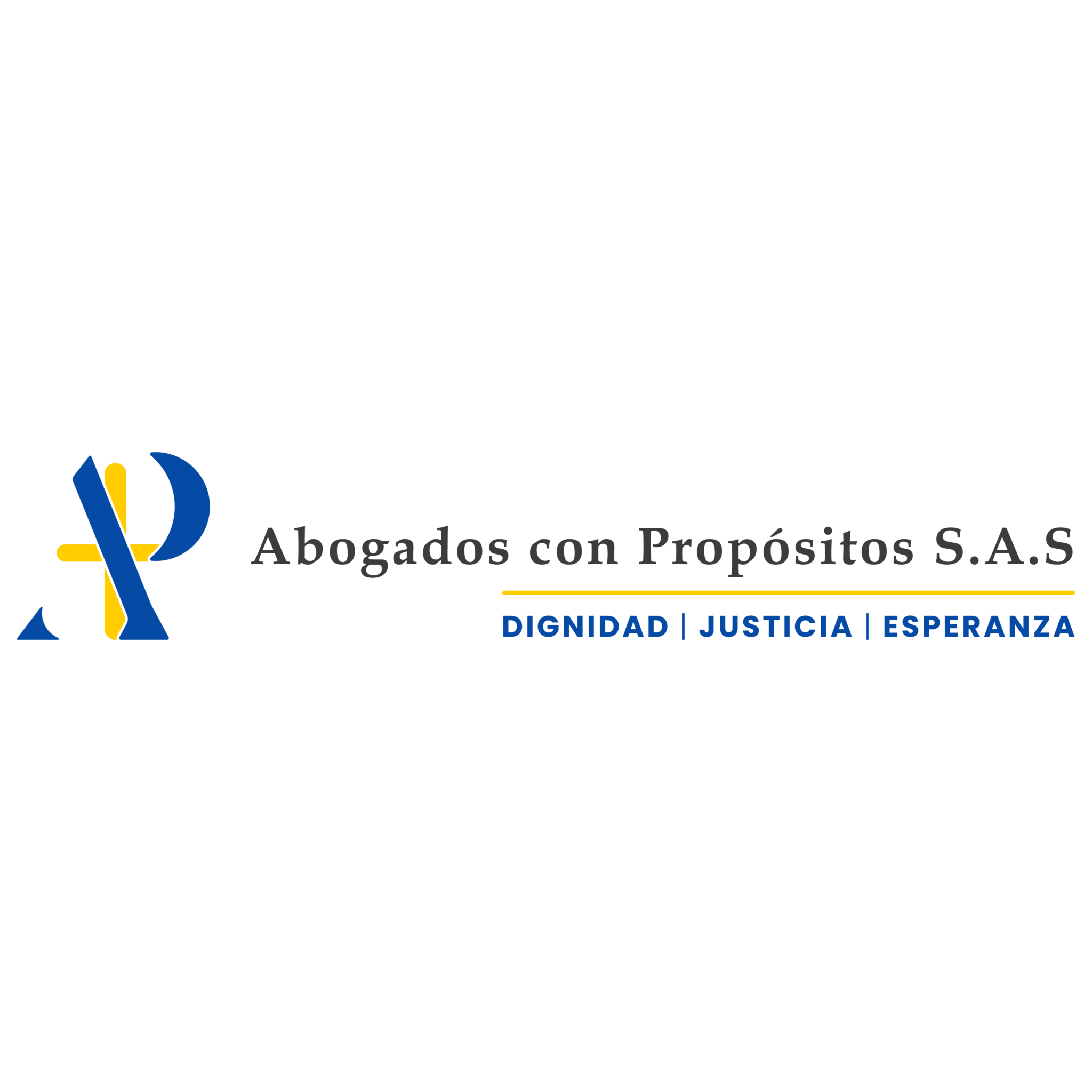 logo(footer)_apsas